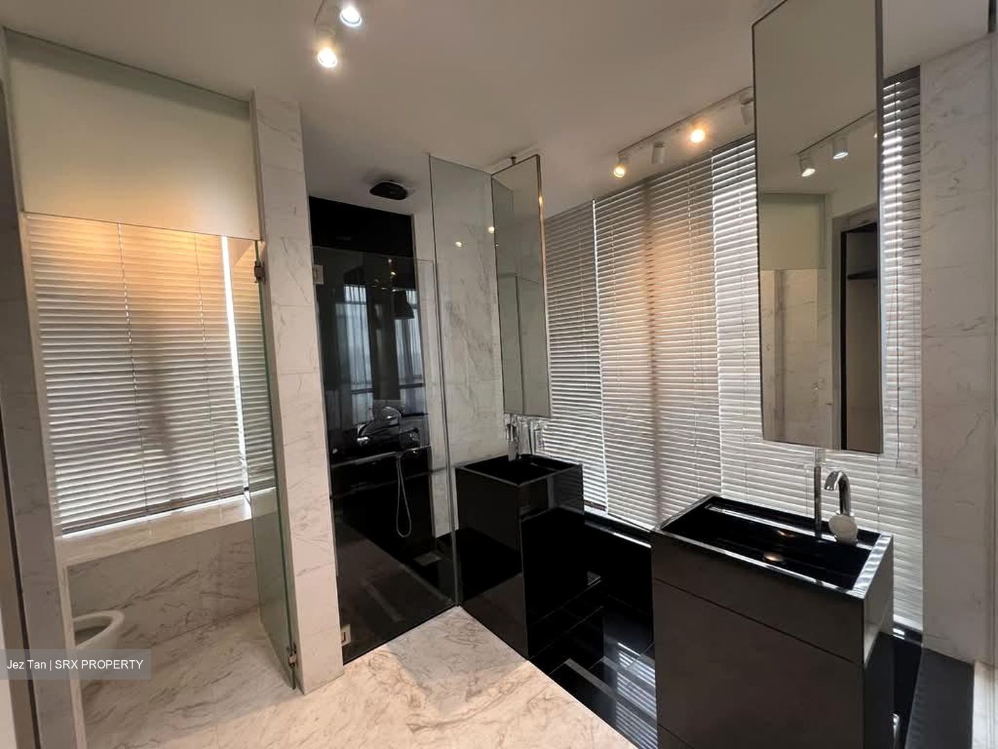 The Trizon (D10), Condominium #570635421